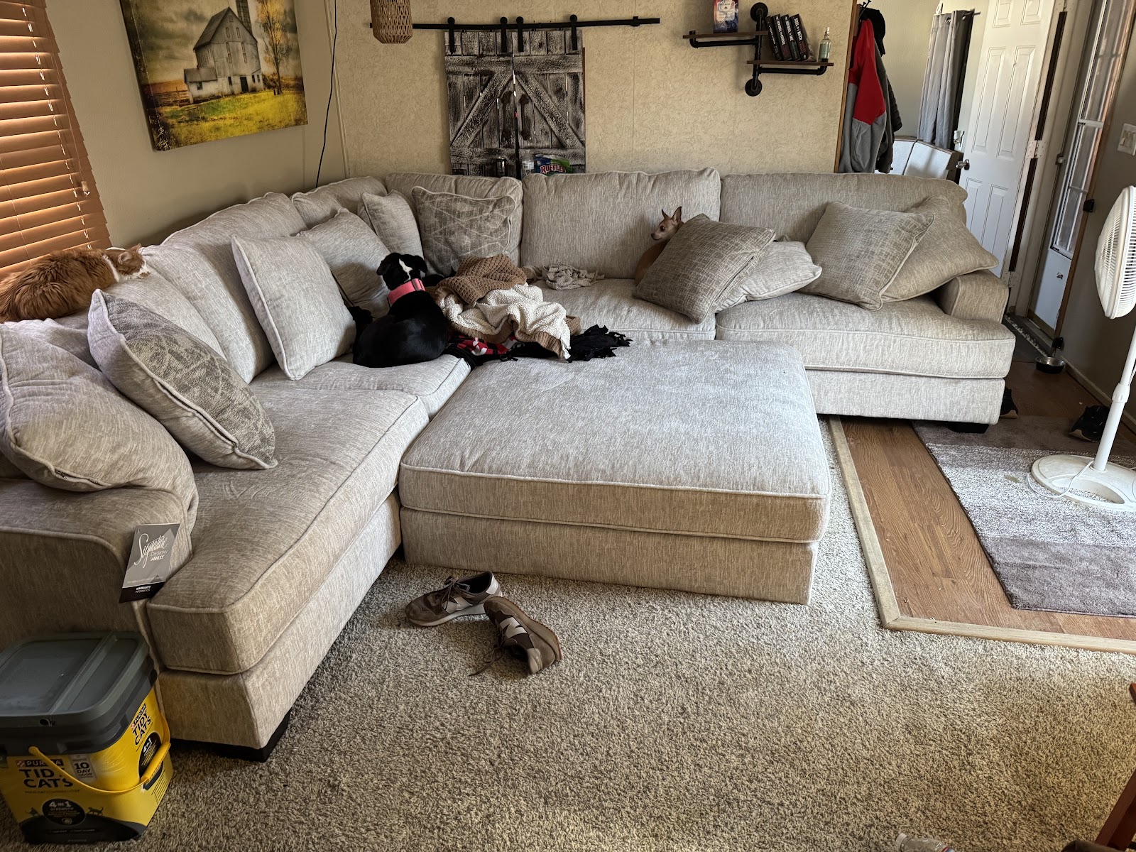 Ace Rent To Own - Photo 1
