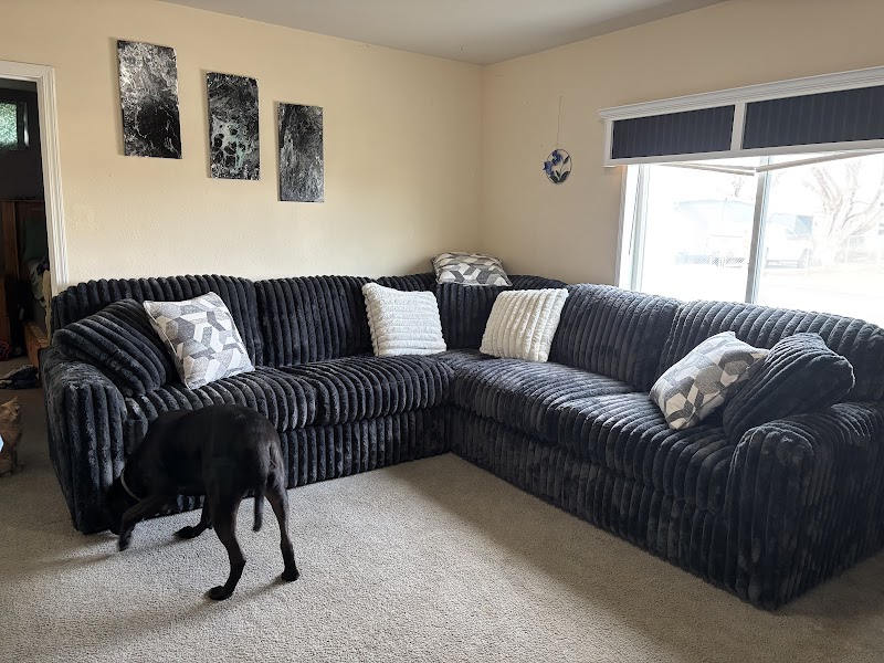 Buddy's Home Furnishings - Photo 1