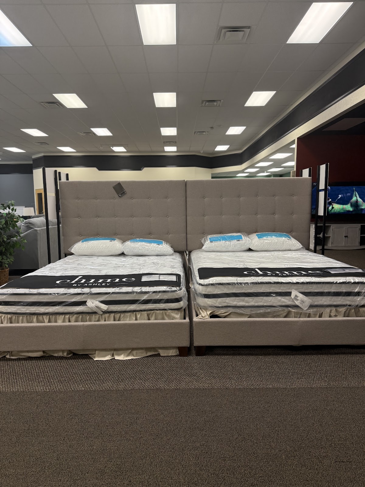 Bargain Center LLC - Photo 2