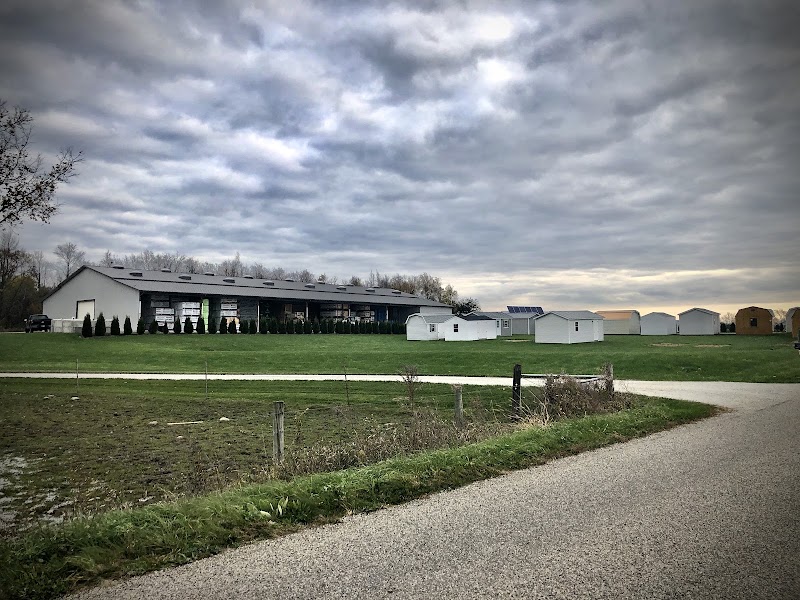 Amish Sheds Direct photo
