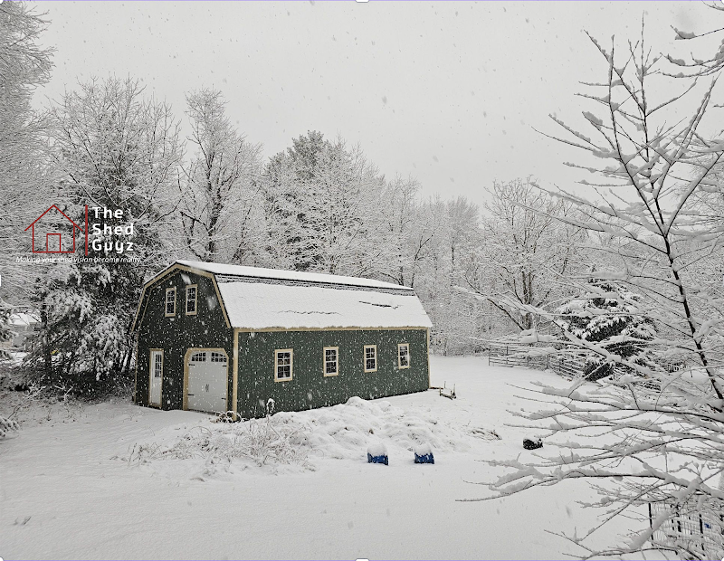 Inside The Shed Guyz