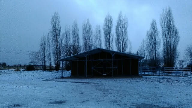 Ulrich Lifestyle (Ulrich Barn Builders) photo