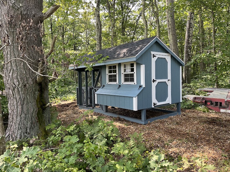 Backyard Sheds (Albany, NY) photo