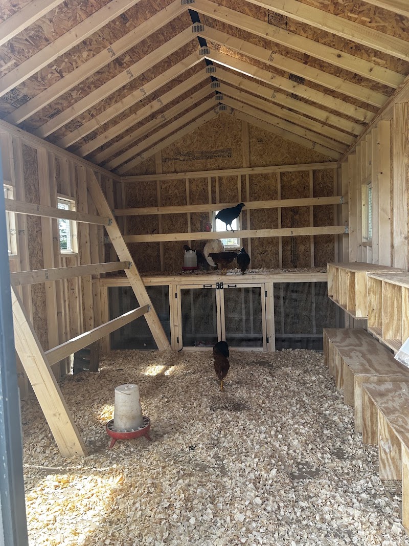 Ulrich Lifestyle (Ulrich Barn Builders) photo
