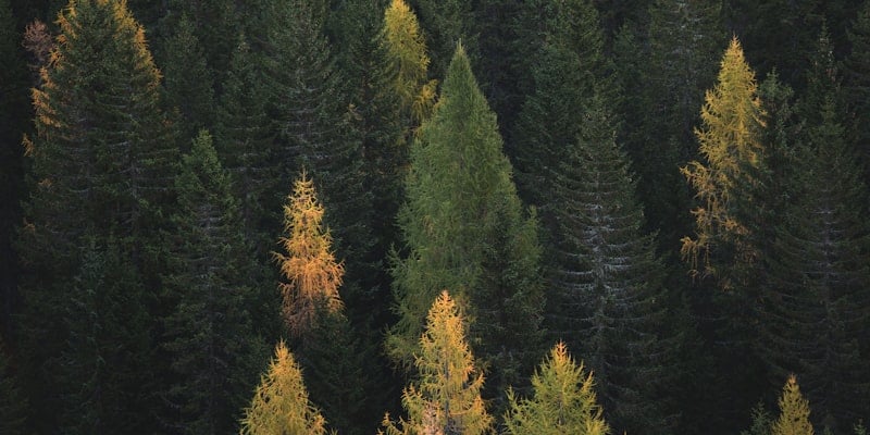 Rent-to-own stores in Connecticut