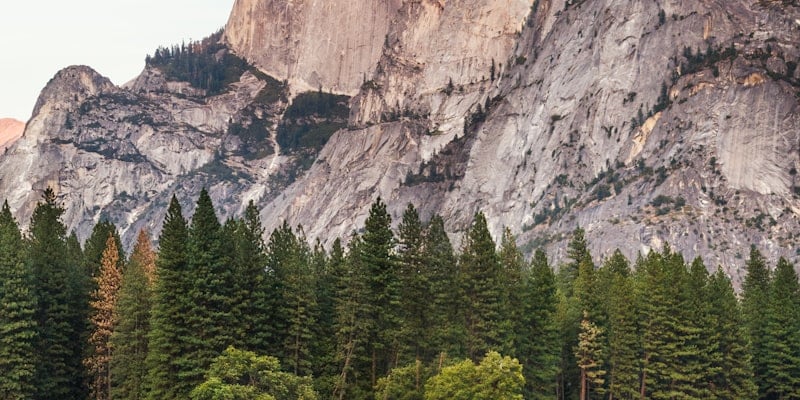 Rent-to-own stores in Montana