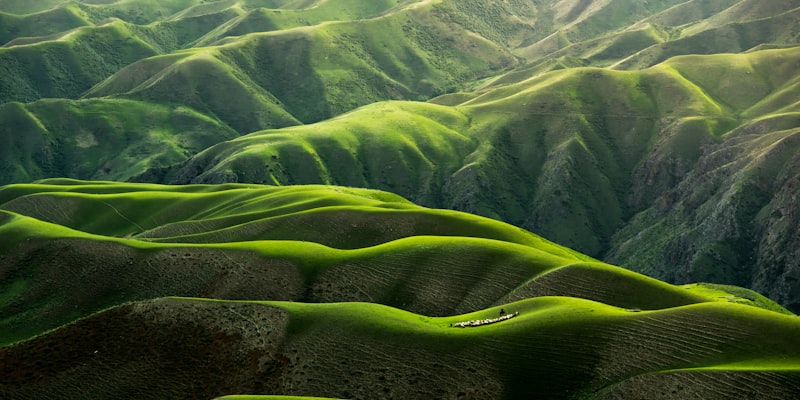 Rent-to-own stores in Nebraska