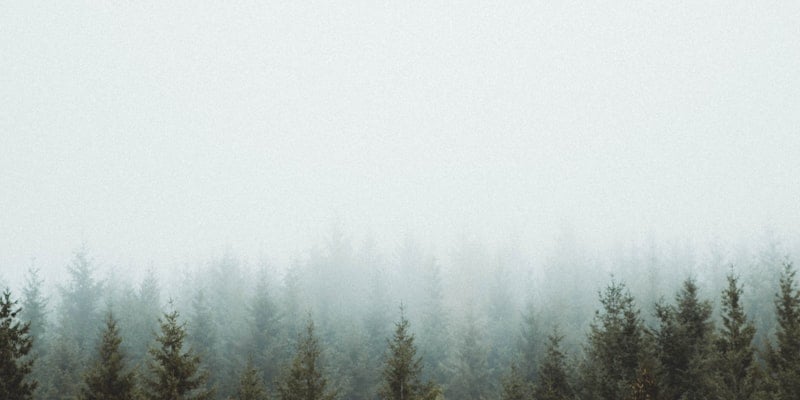 Rent-to-own stores in North Dakota